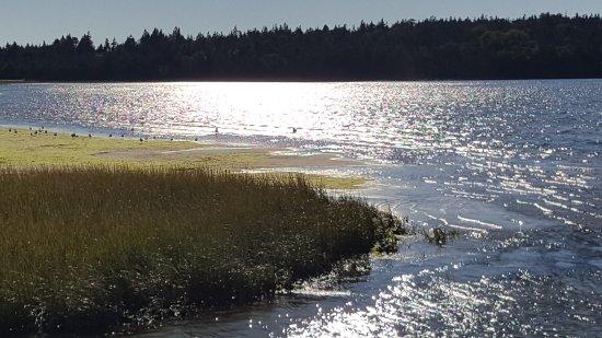 McCormacks Beach Provincial Park