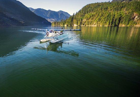 Harbour Air Seaplanes