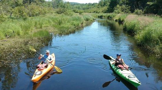 Water Walker Sea Kayak