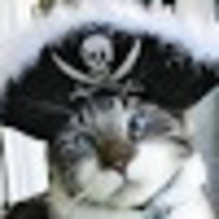 Photo of piratejani