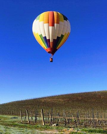 Balloons Over Paso