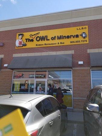 The Famous Owl of Minerva