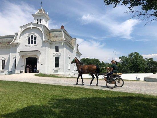 University of Vermont Morgan Horse Farm