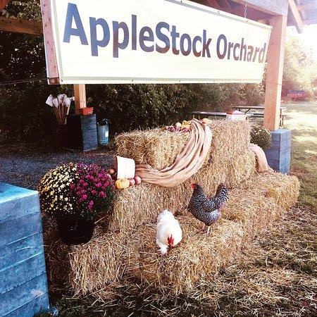 AppleStock Orchard