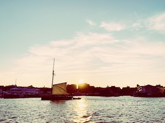 Maine Sailing Adventures