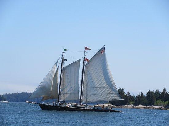 Maine Windjammer Association