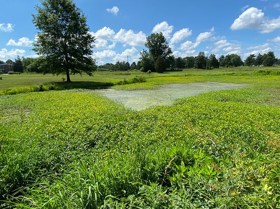 Brantwood Regional Park