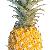 photo of Pineapples-a-Plenty