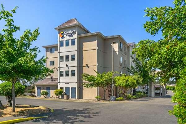 Comfort Inn Federal Way - Seattle