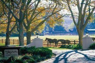 Alisal Guest Ranch & Resort