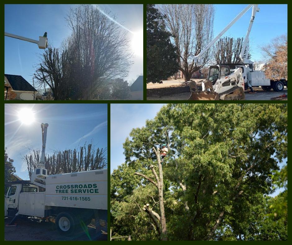 Crossroads Tree Service