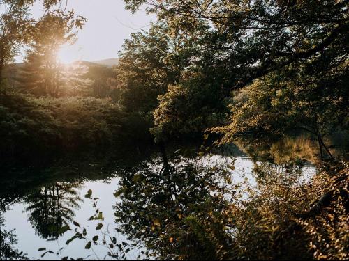 Tentrr - Forest with a Trout Creek