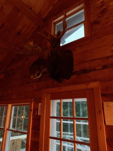 Loon Lake Cabin by Morton & Furbish