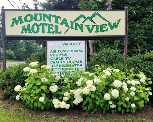 Mountain View Motel - Great Barrington