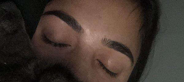 My eyebrows