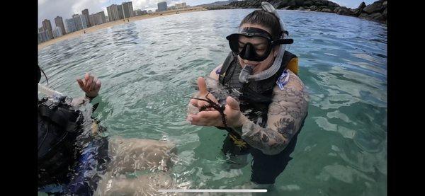 Holding a star fish