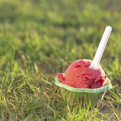 Raspberry Sorbetto (dairy free)