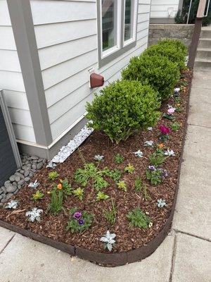 Spring Flower Garden officially planted