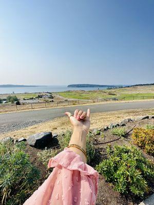 Chambers Bay Grill