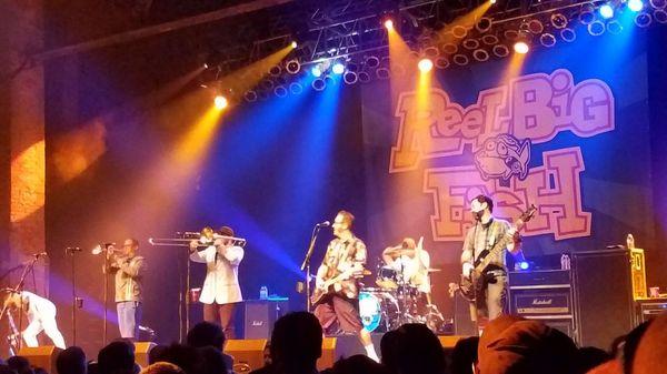 Reel Big Fish doing their thing after their stop on the L.I. Brew Bus #reelbigfish  #librewbus