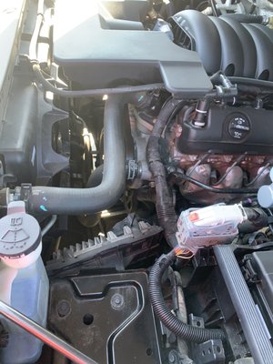 After on Suburban. Engine bay