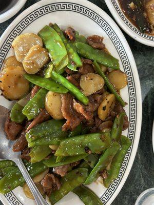 Beef & Beef with Snow Peas