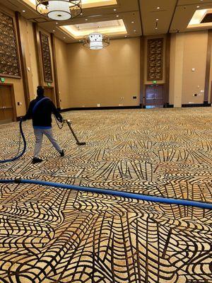 Premier Carpet Cleaning