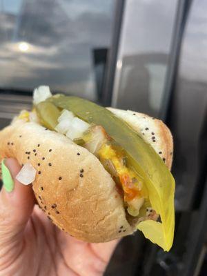 Chicago style hot dog