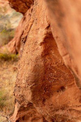 Red Hills Desert Garden