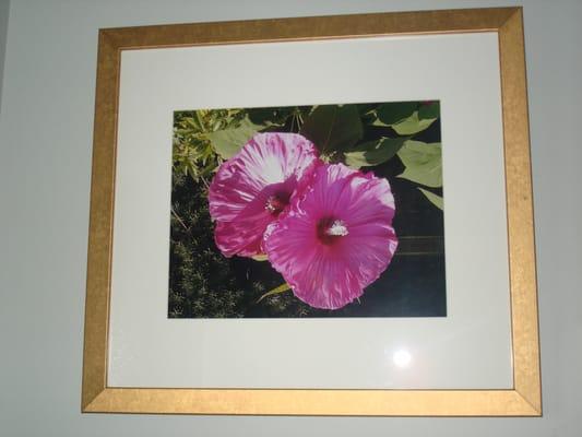 I took in my own photos and frames, and Scott cut mats and set the pix.