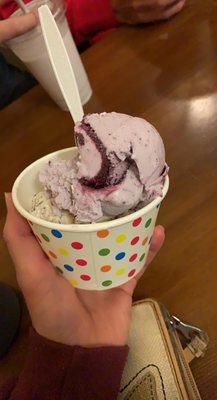 Maine Blueberry ice cream