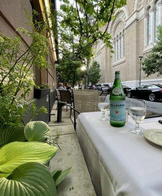 Magic hour on the sidewalk, under the vines, and fortified by st Patrick's, in Rittenhouse, about to enjoy an amazing dinner. #paradise