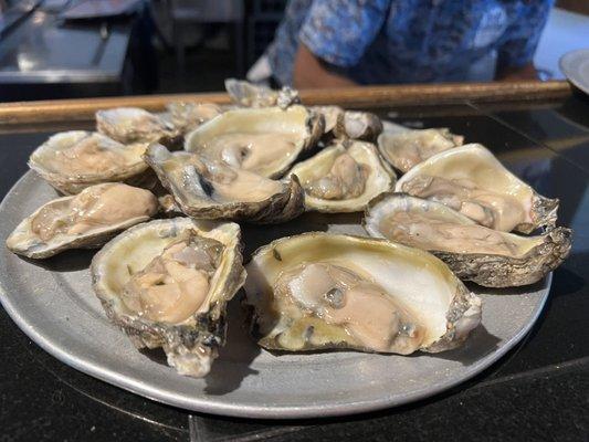 Oysters