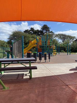 Covered picnic tables and large play structure