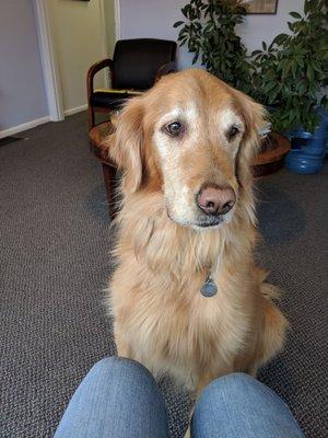 Welcoming committee. This alone makes it worth going to this place!