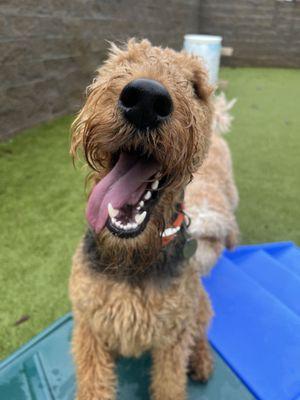 This is Max's happy face at recess.