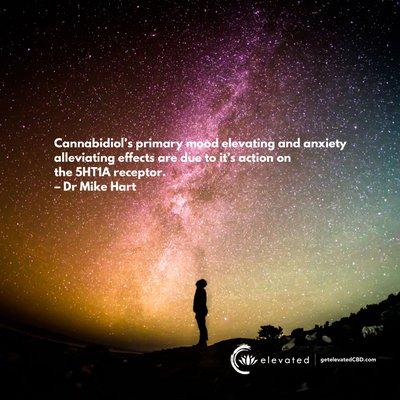 Cannabidiol's primary mood elevating and anxiety alleviating effects are due to its action on the 5HT1A receptor.

- Dr Mike Hart