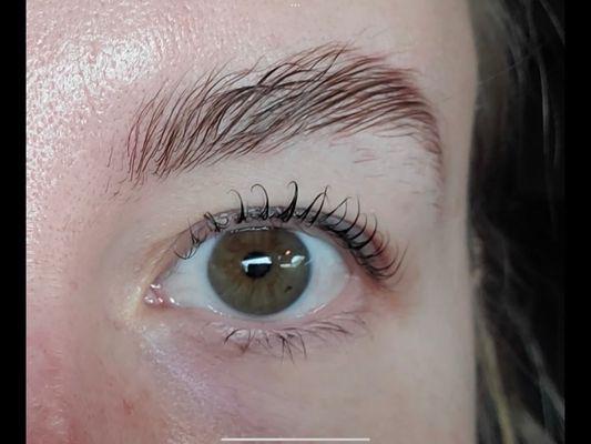 Lash lift/brow lamination