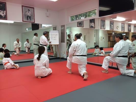 All Ranks Karate Class - Ashburn, VA, United States