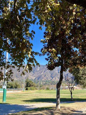 Beautiful views of the mountains from the playground!