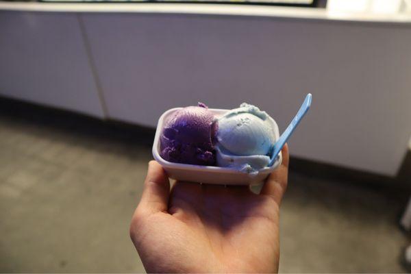 Ube butterfly pea flower