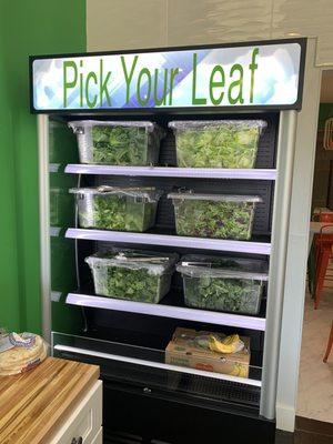 Six Leaf Options to choose from Baby romaine, Lettuce Crunch, Bibb Lettuce, Spinach, Kale...