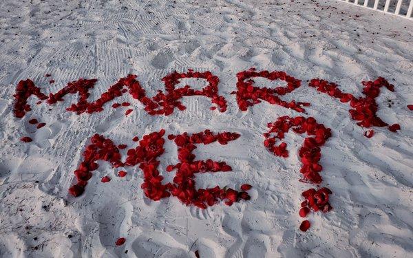 "Marry Me?" created from fresh red rose petals from Chalet Flowers in Zephyrhills!