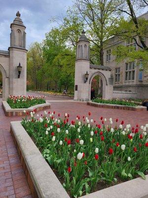 Sample Gates Indiana University