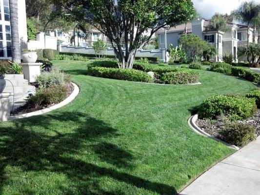 A La Verne customer's lawn