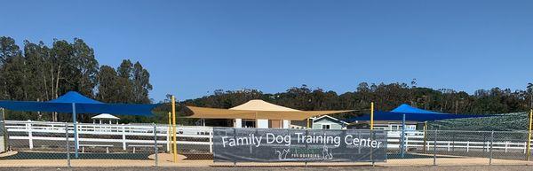 Dog training classes!