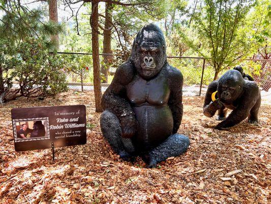 Life size gorillas