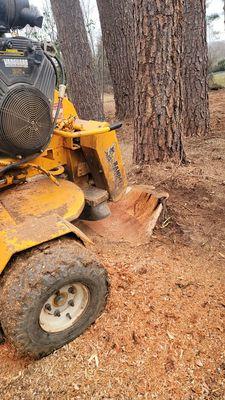 Stump grinding