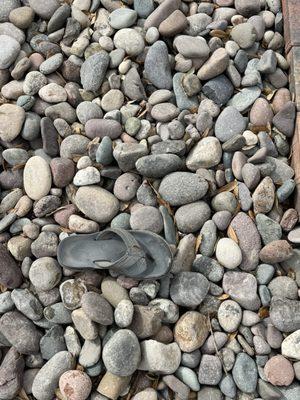 The larger rocks, next to size 10 sandal. 1/2 the rocks were 3-6".  Compared to 1-3" rocks from previous photo