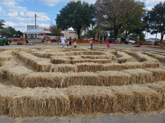 Hay Maze in front of a little but plentiful pumpkin patch. Prices for pumpkins vary.